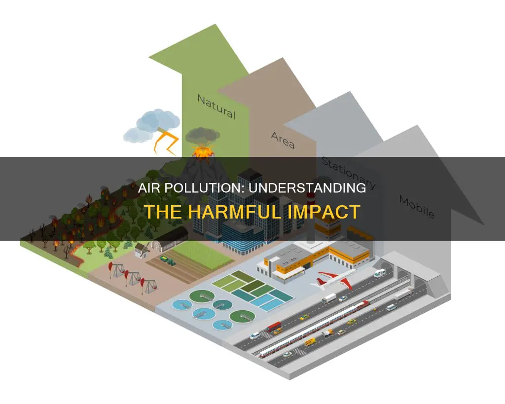 which sentence describes air pollution