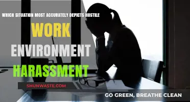 Identifying Hostile Work Environment Harassment: Key Scenarios and Legal Insights