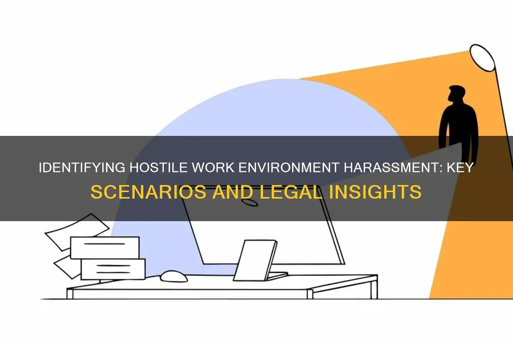 which situation most accurately depicts hostile work environment harassment