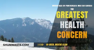 The Health Impact: Which Particulate Matter Size Poses the Greatest Threat?