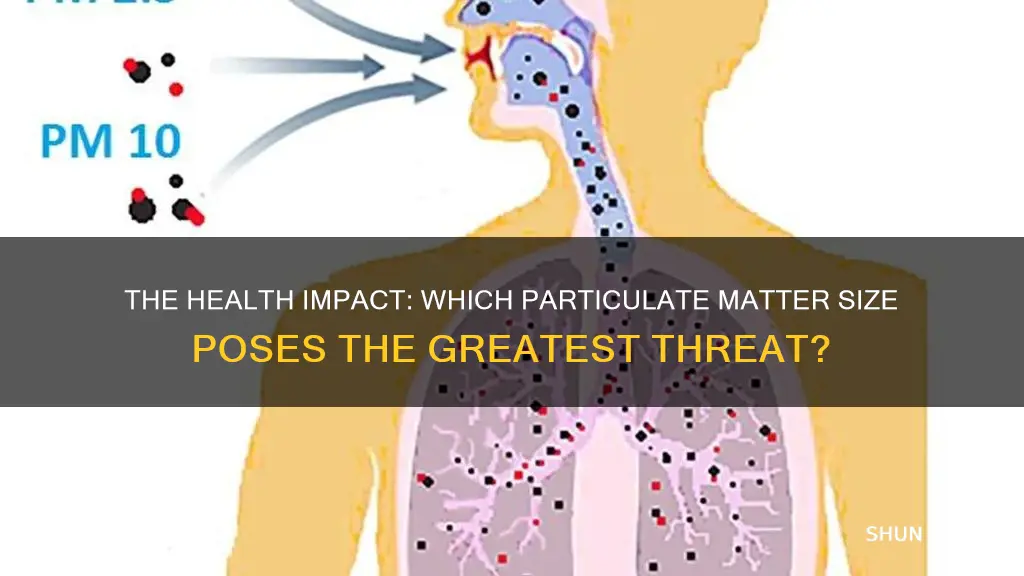 which size of particulate matter causes the greatest health concern