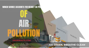 Air Pollution: The Overlooked Culprit in Our Midst