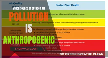 Outdoor Air Pollution: Human-Made Sources and Impacts