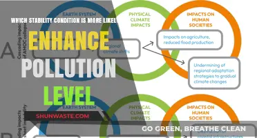 Stability Conditions Impact: Which One Increases Pollution Levels?