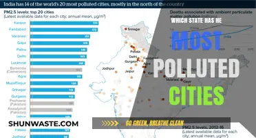 Revealed: The U.S. State with the Most Polluted Cities