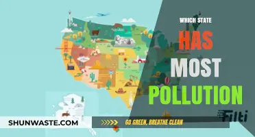 Revealed: The U.S. State with the Highest Pollution Levels