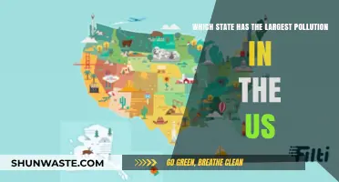 America's Most Polluted State: Unveiling the Top Contaminated Region