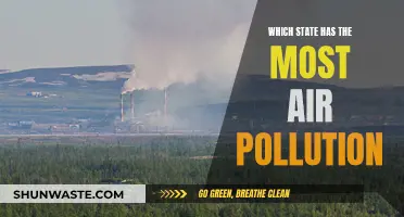 Air Pollution's Worst Offenders: State-by-State Breakdown
