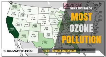 Revealed: The U.S. State Battling the Highest Ozone Pollution Levels
