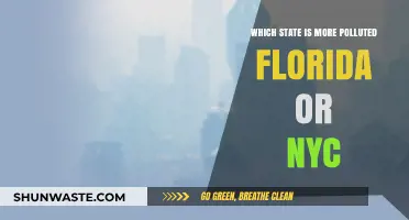 Florida vs. NYC: Comparing Air and Water Pollution Levels