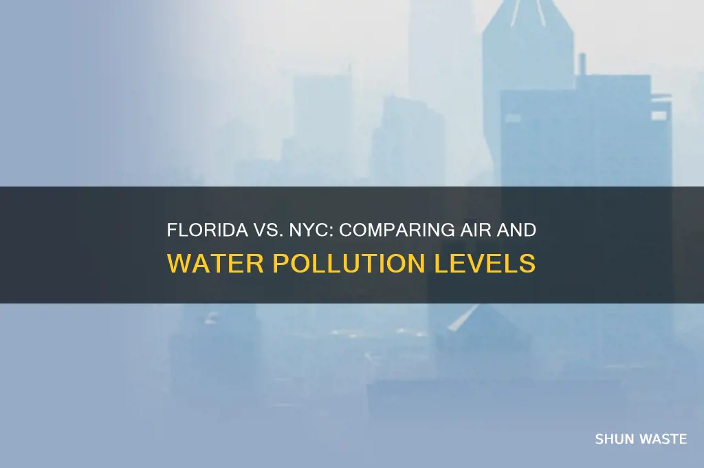 which state is more polluted florida or nyc