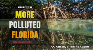 Florida's Pollution Crisis: Comparing Environmental Challenges Across States