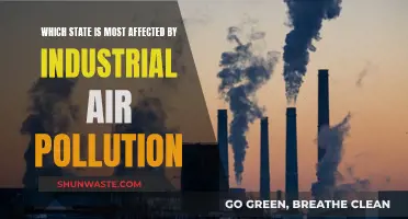 Industrial Air Pollution: States Suffering the Most