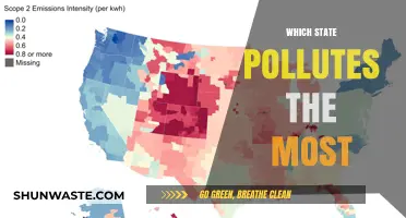 America's Top Polluter: Which State Contributes the Most Emissions?