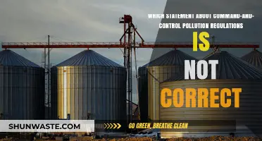 Debunking Myths: Incorrect Assumptions About Command-and-Control Pollution Rules