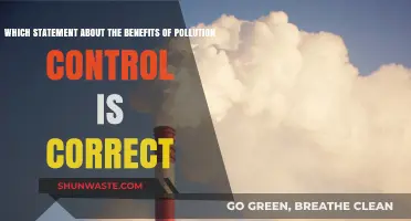 Pollution Control Benefits: Separating Fact from Fiction in Environmental Impact