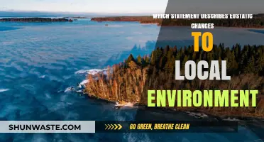Eustatic Changes: How Global Sea Level Fluctuations Impact Local Ecosystems
