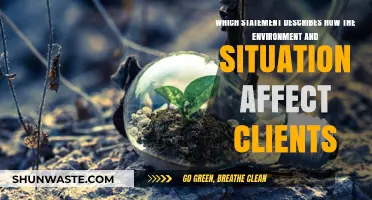 How Environmental Factors Shape Client Behavior and Decision-Making