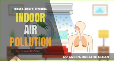 Understanding Indoor Air Pollution: A Health Hazard