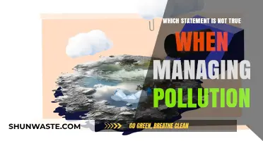Debunking Pollution Management Myths: Which Statement Doesn't Hold True?