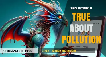 Unveiling the Truth: Debunking Common Myths About Pollution