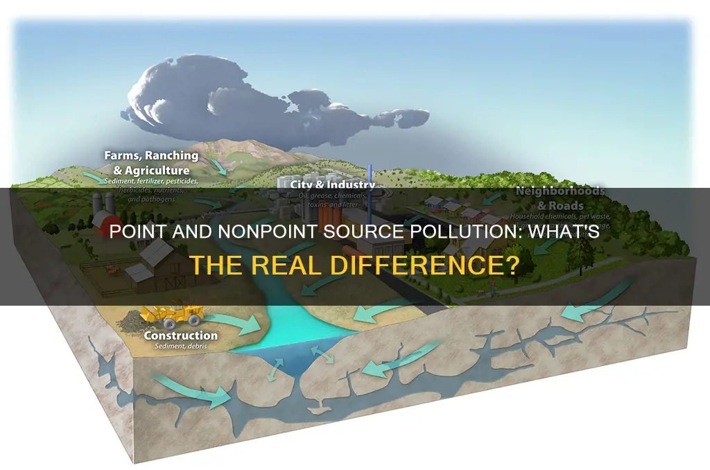 which statements are true about point and nonpoint source pollution