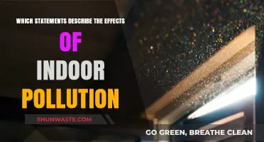 Indoor Pollution Effects: Unveiling Health and Environmental Consequences