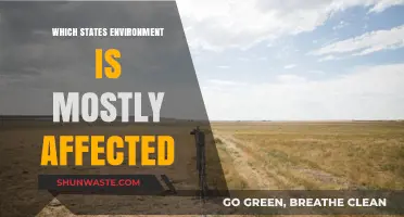 States with the Most Environmentally Impacted Ecosystems: A Comprehensive Analysis