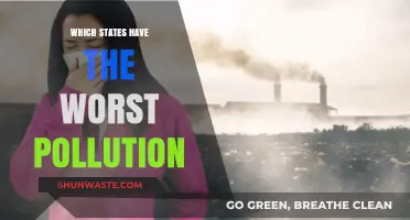 America's Most Polluted States: Unveiling the Worst Environmental Offenders