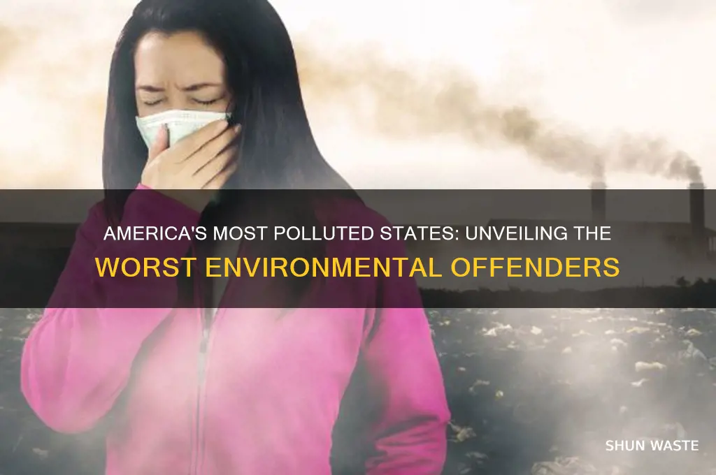 which states have the worst pollution