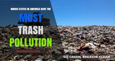America's Trash Crisis: States with the Worst Pollution Problems