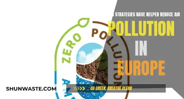 Europe's Successful Strategies to Reduce Air Pollution