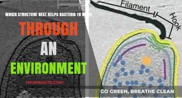 How Bacterial Flagella Enable Efficient Movement in Diverse Environments