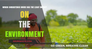 Sustainable Living: Exploring the Eco-Friendliest Subsistence Mode