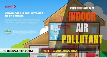 Air Pollutants: What's Lurking in Your Home?