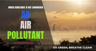 Air Pollutants: What's Exempt?