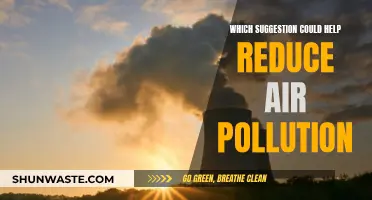 Strategies to Reduce Air Pollution and Breathe Easier