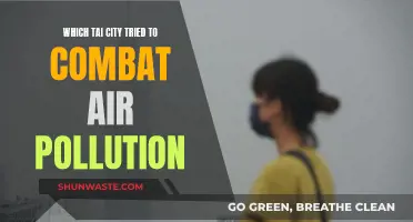 Taipei's Fight Against Air Pollution