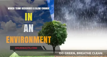 Understanding Gradual Environmental Shifts: The Term Behind Slow Ecological Changes