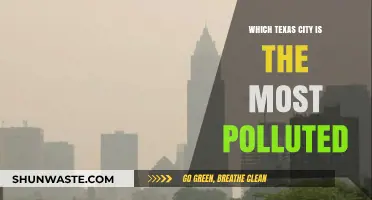 Texas' Most Polluted City: Unveiling the Air Quality Crisis