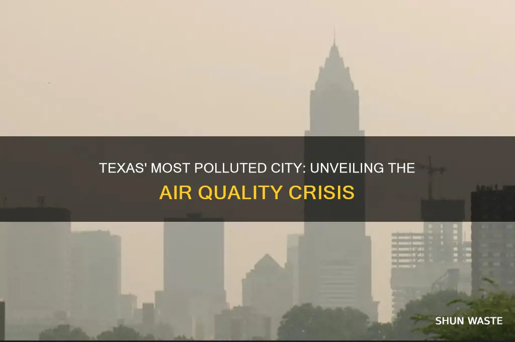 which texas city is the most polluted