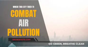 Bangkok's Battle Against Air Pollution