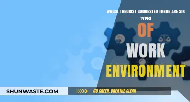 Six Work Environments: The Theory Behind Diverse Workplace Cultures
