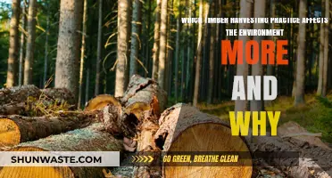 Clearcutting vs. Selective Logging: Which Timber Practice Harms the Environment More?