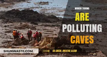 Hidden Hazards: Unveiling Toxic Pollutants in Cave Ecosystems