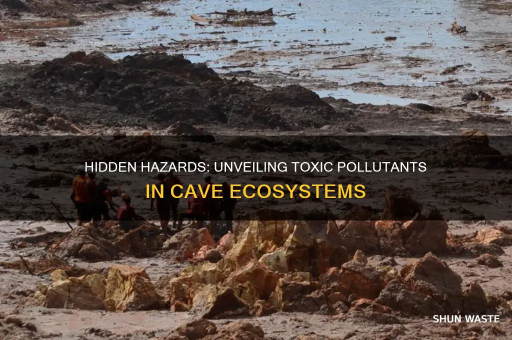 which toxins are polluting caves