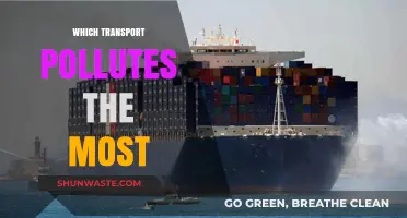 Revealed: The Most Polluting Transport Modes and Their Environmental Impact