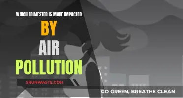 Air Pollution: Trimming Trimester Troubles
