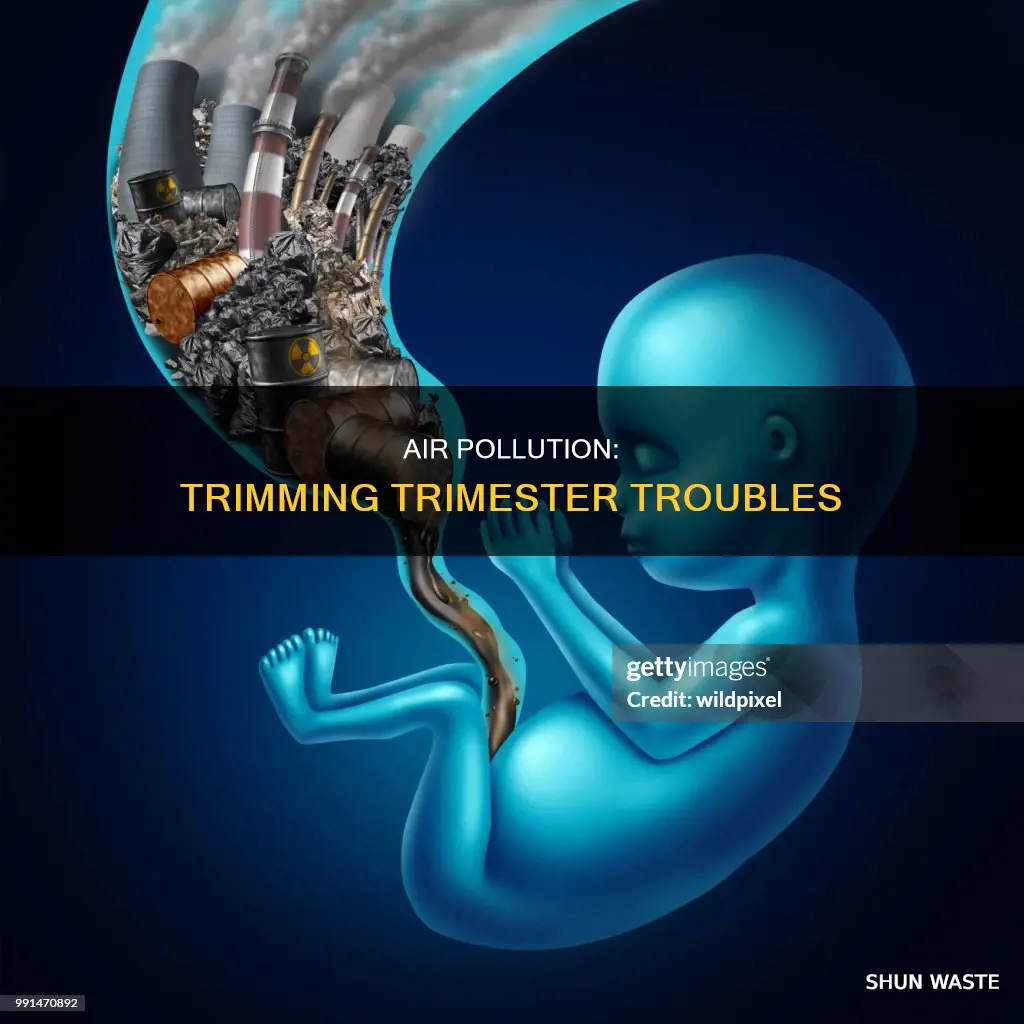 which trimester is more impacted by air pollution