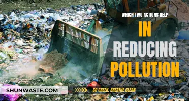 Green Initiatives: Reducing Pollution with Simple Actions